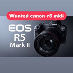 Need Canon R5 Mkii 