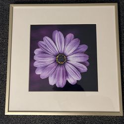 🌸 Framed Flower Wall Art 🌸