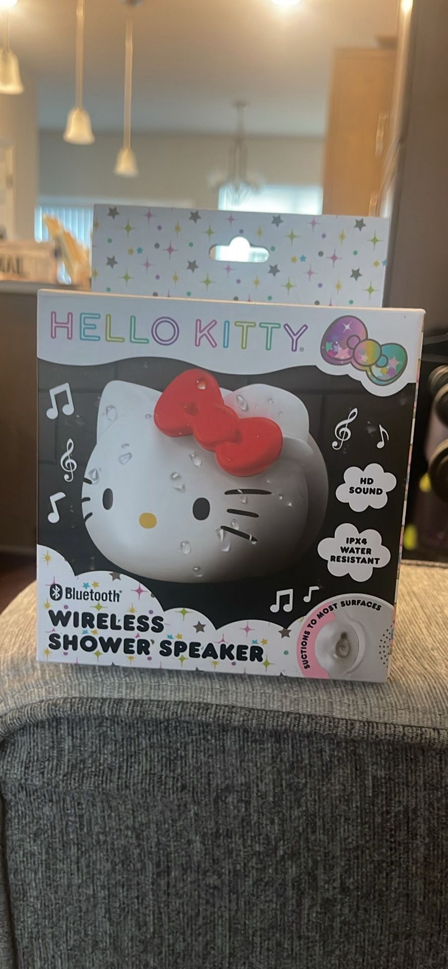 Wireless Shower Speaker