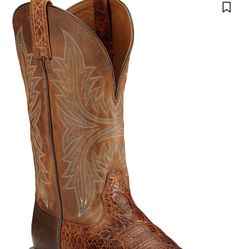 Ariat Boots 