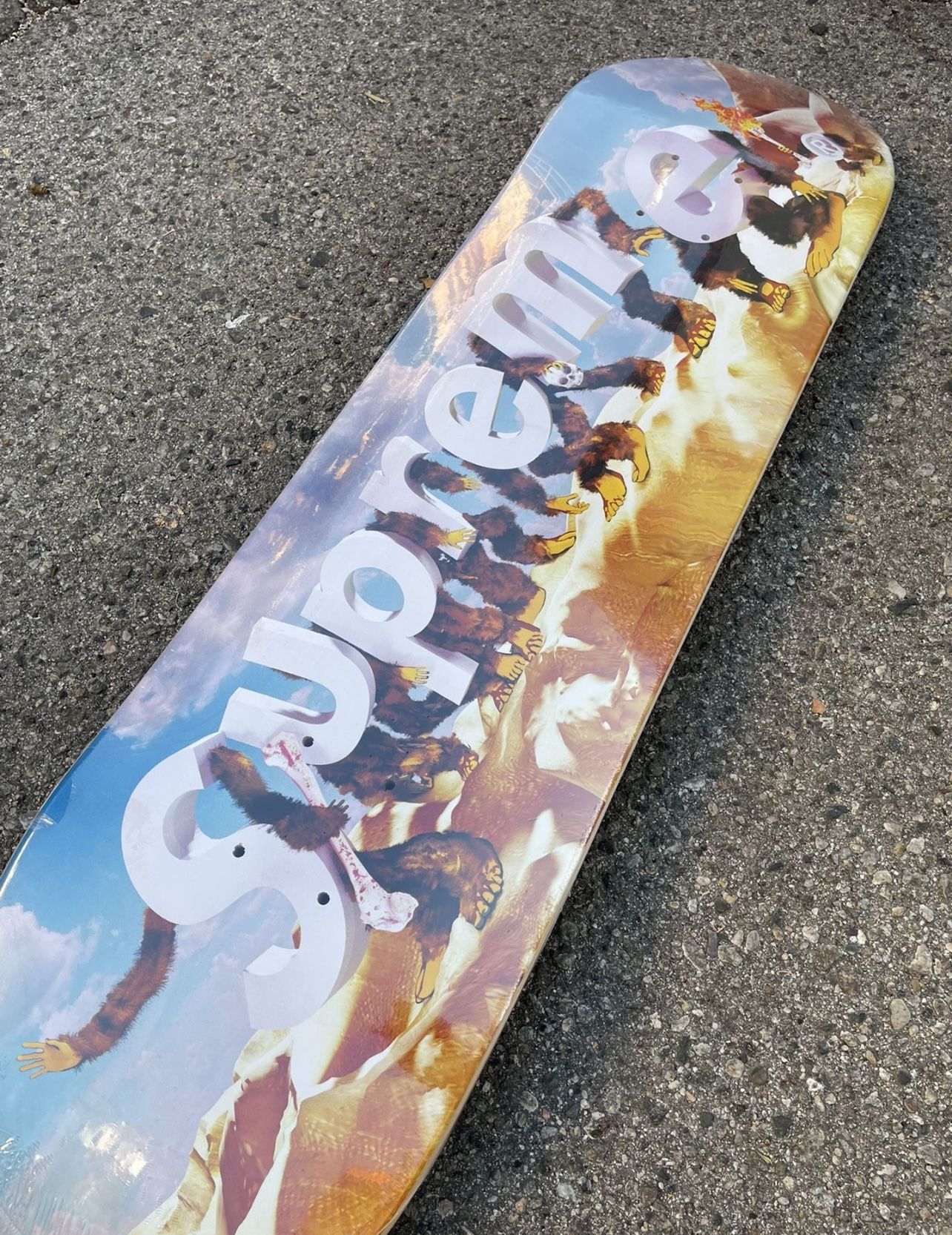 Supreme skate Apes Skateboard Day 【公式通販】
