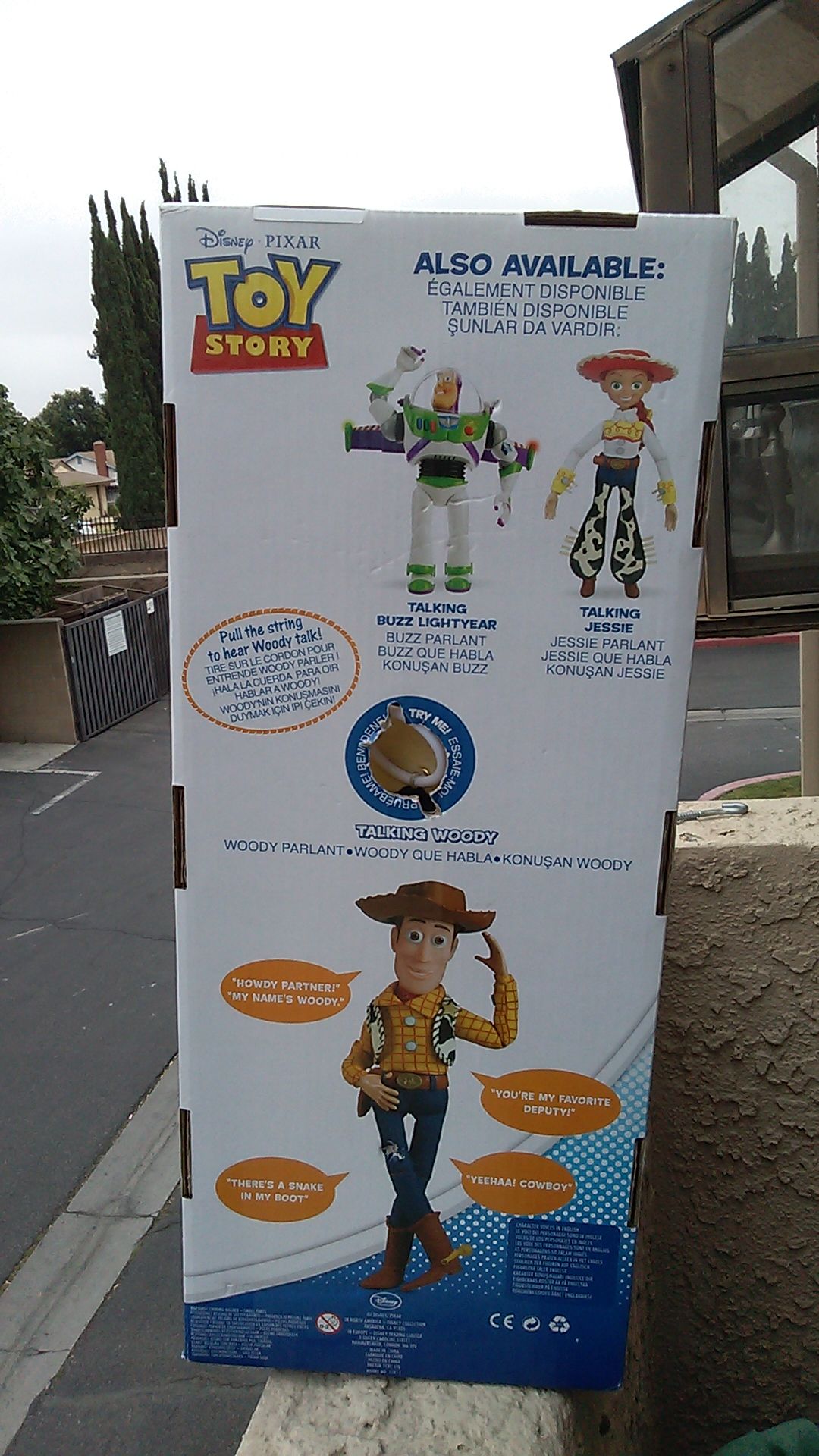 Talking Woody