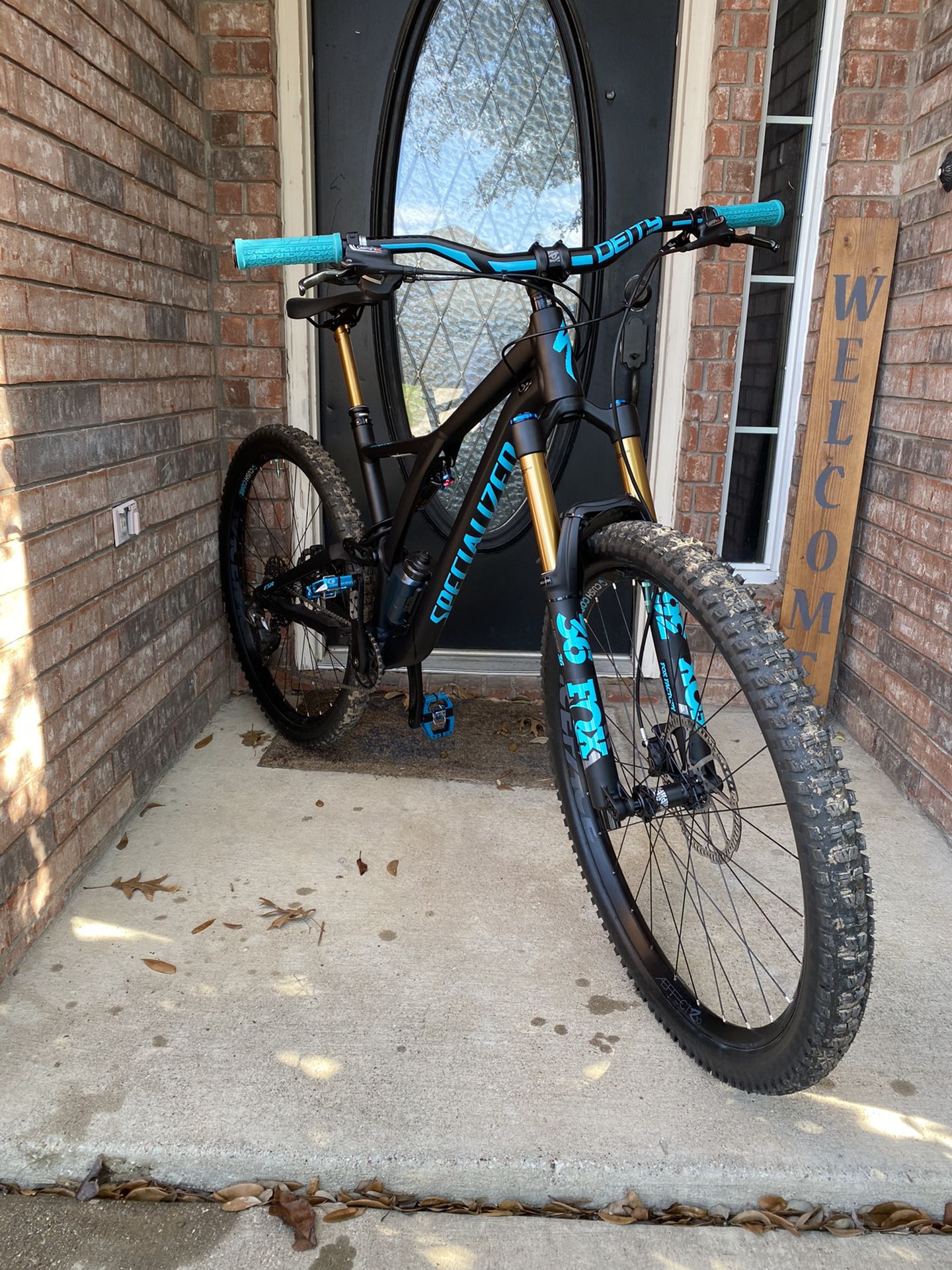 Customized 2019 Specialized Stump jumper 29 Alloy