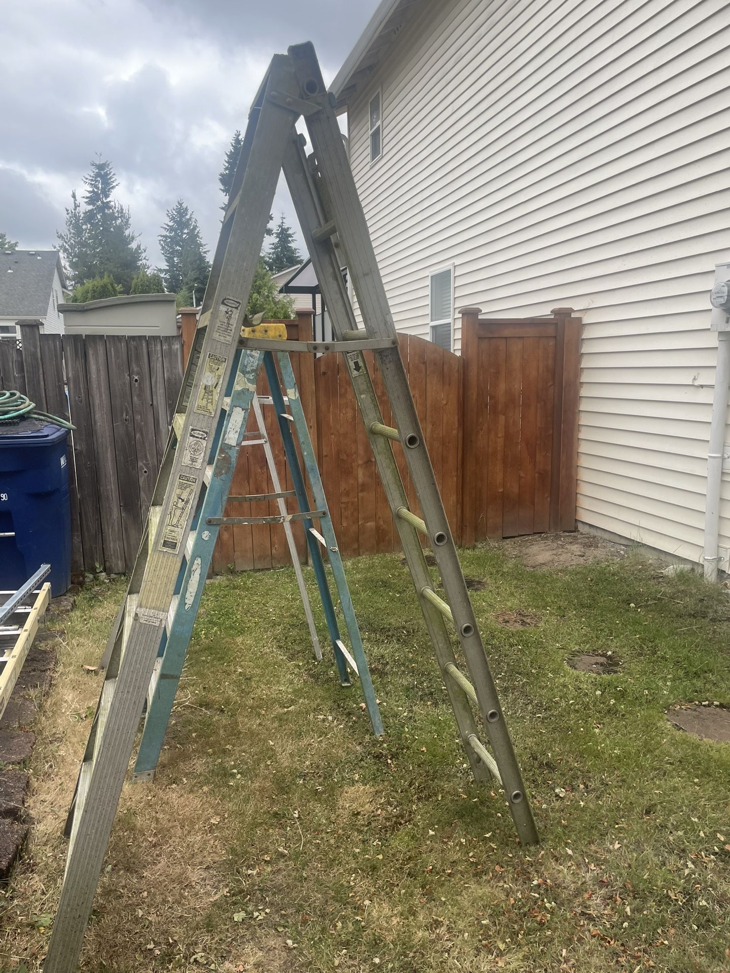 3 Step Ladders. $40.00 For All 3 Ladders