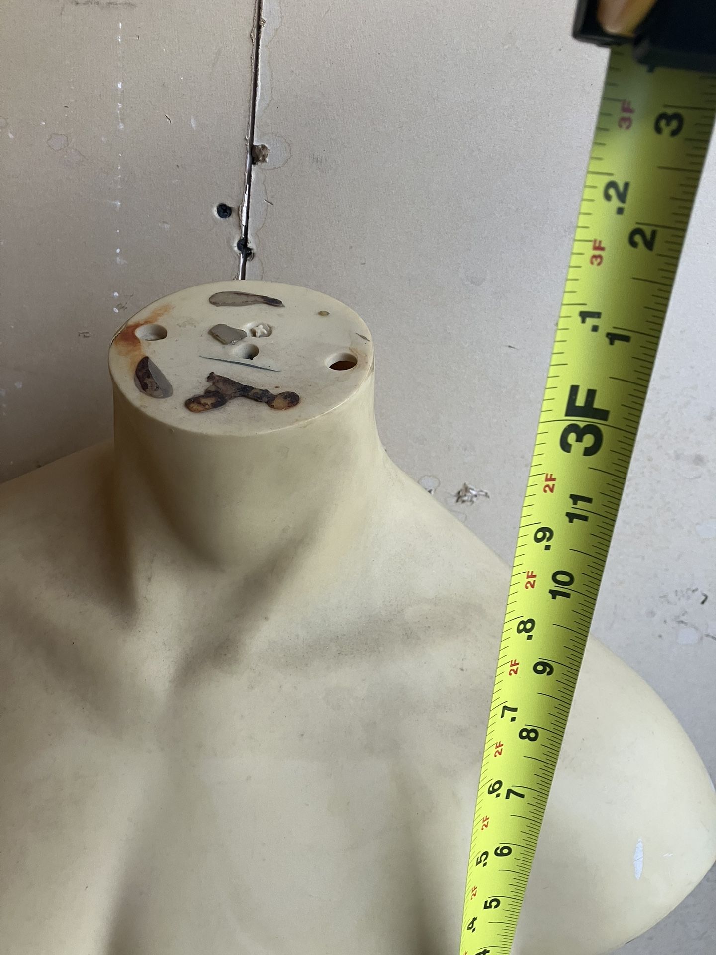 1 Left. Male Mannequin