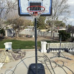 Lifetime Basketball Hoop