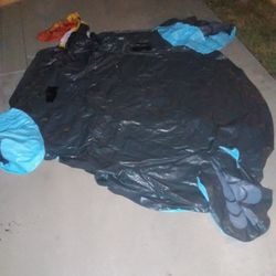 Pool Blowup Toy