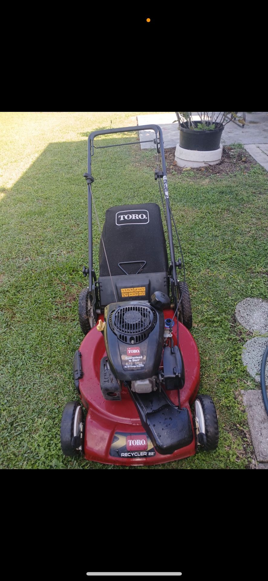 Self Propelled Lawn Mower 