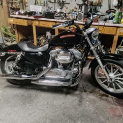 2005 Harley davidson Sportster 883