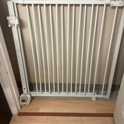 Baby Door