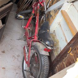 Sting Ray Bike 