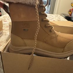 Uggs 