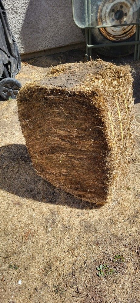 Compressed Straw (FREE)