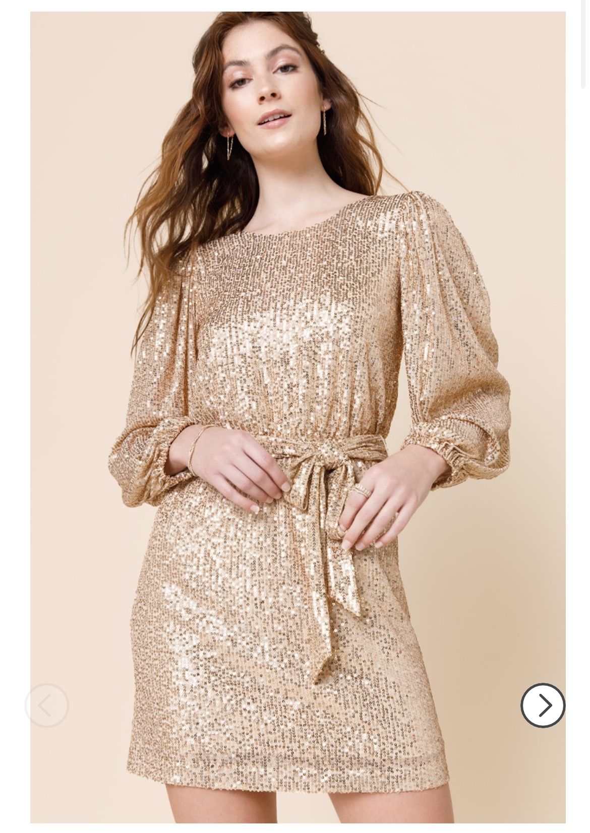 NWT Gold Sequin Dress