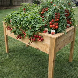 LARGE 4FT PLANTER BED