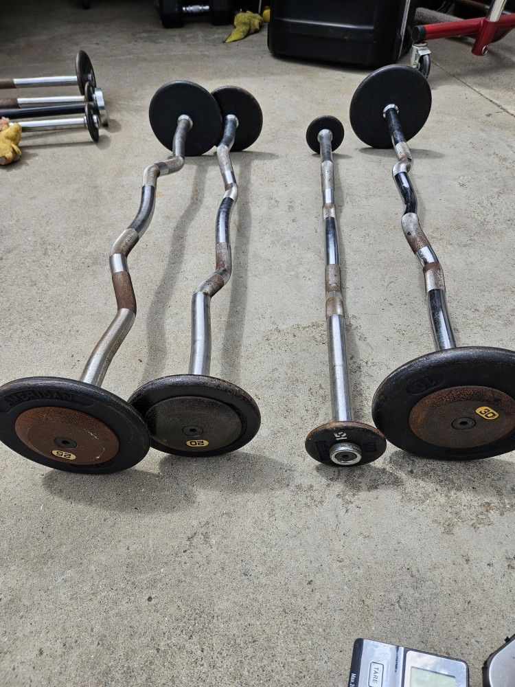 Fixed Curl Bars ( Weights)