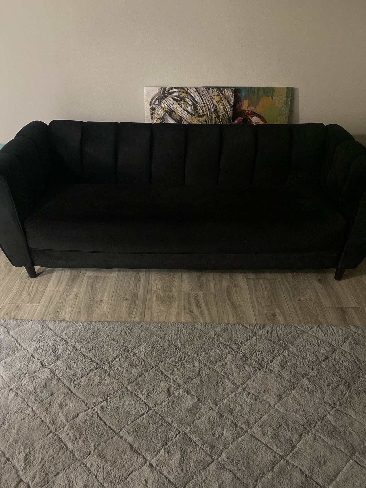 Black Velvet Couch