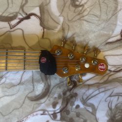 Music Instrument (6 Strings MTD Bass Guitar)