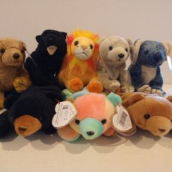 Ty Beanie Babies--Bears & 1 Lion $5 each