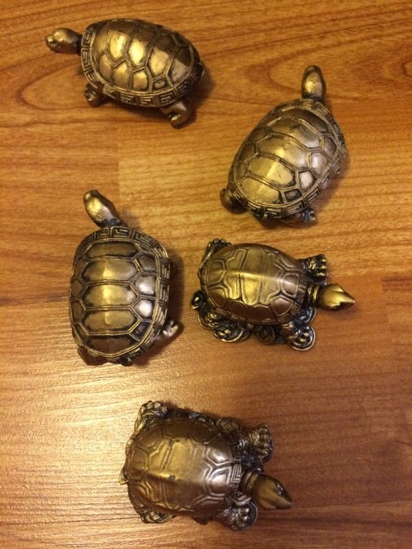 Small Good Luck Turtles (5)