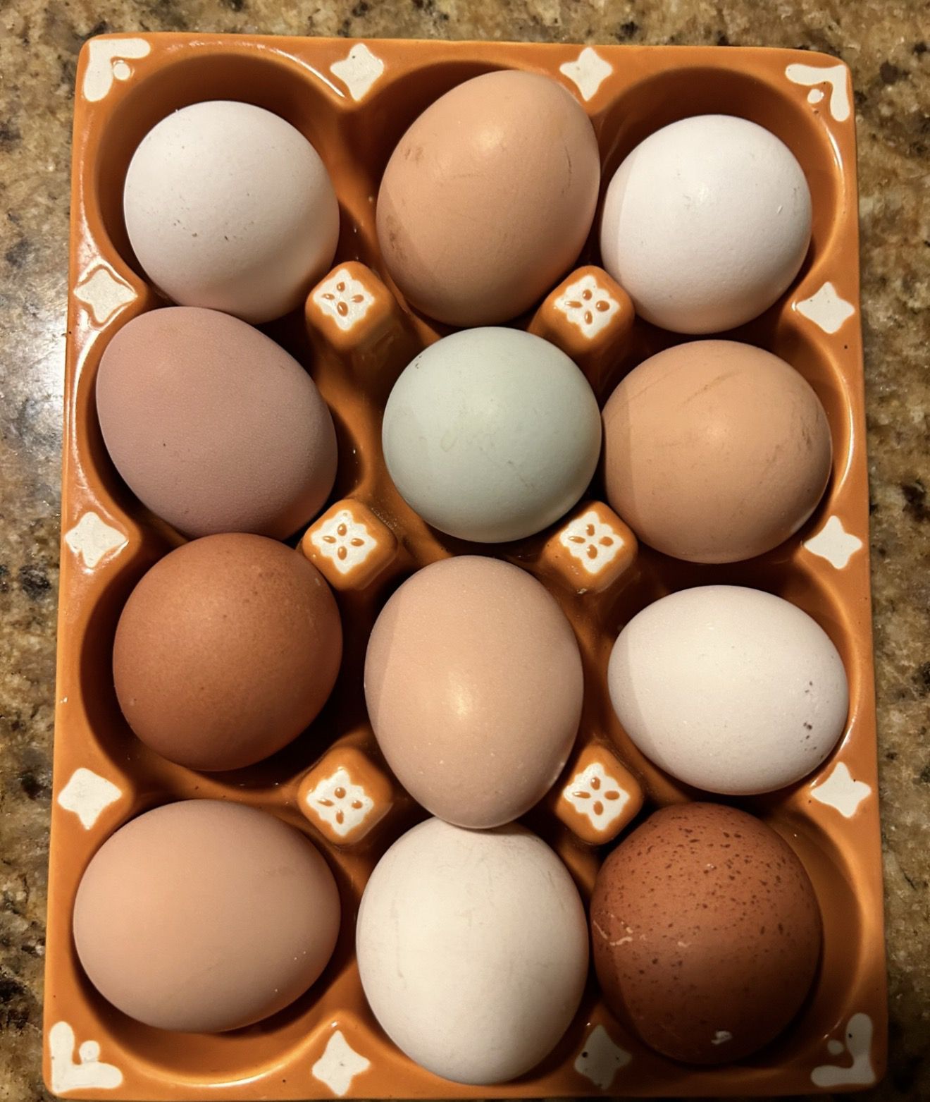 Organic Eggs