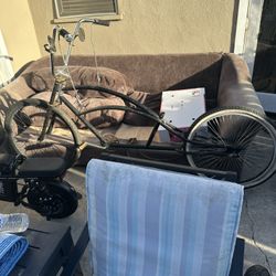 Beach Cruiser 