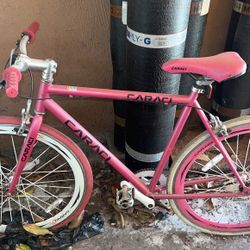 Fixie bike