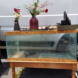FISH TANK  50 GALION  TANK WITH ACCESSORIES  THAT COME WITH THE  TANK