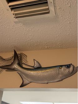 Wall decor salt water fish