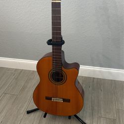 Acoustic /electric Guitar