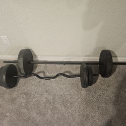 Straight Bar and Easy Curl Bar