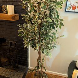 Artificial Plant 