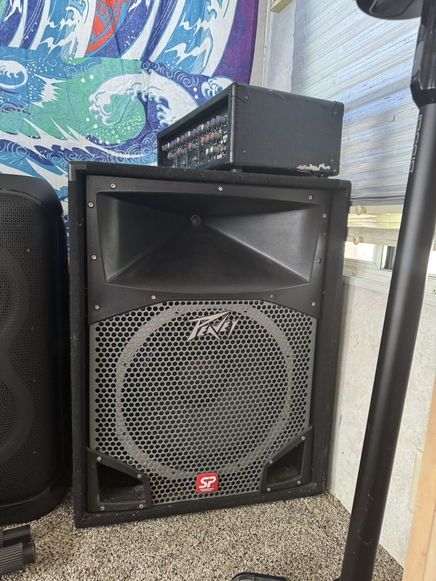 Peavey Speaker