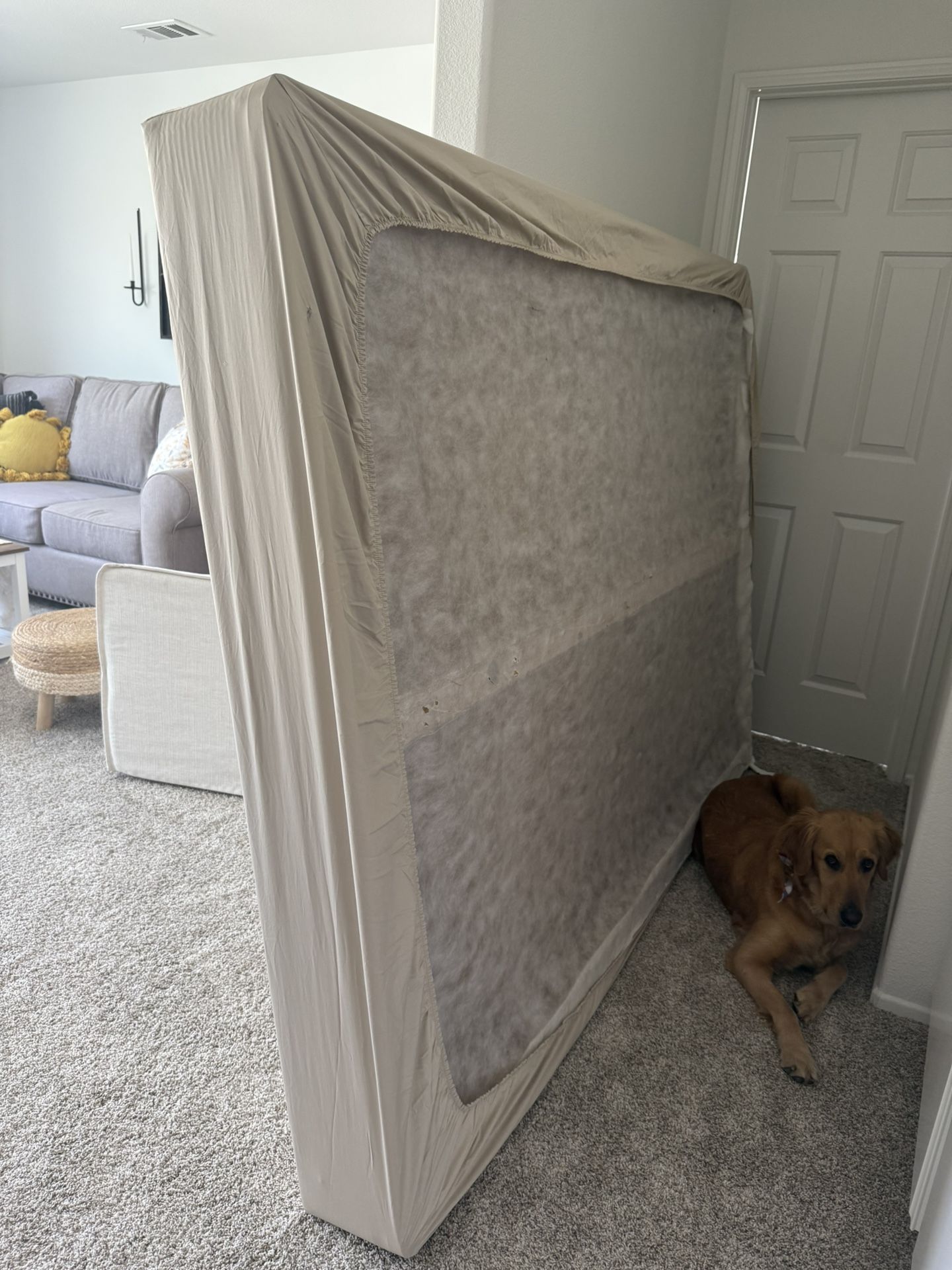 Free Box Spring
