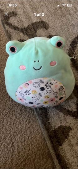 Squishmallow Frog Plush Toy “Fritz”