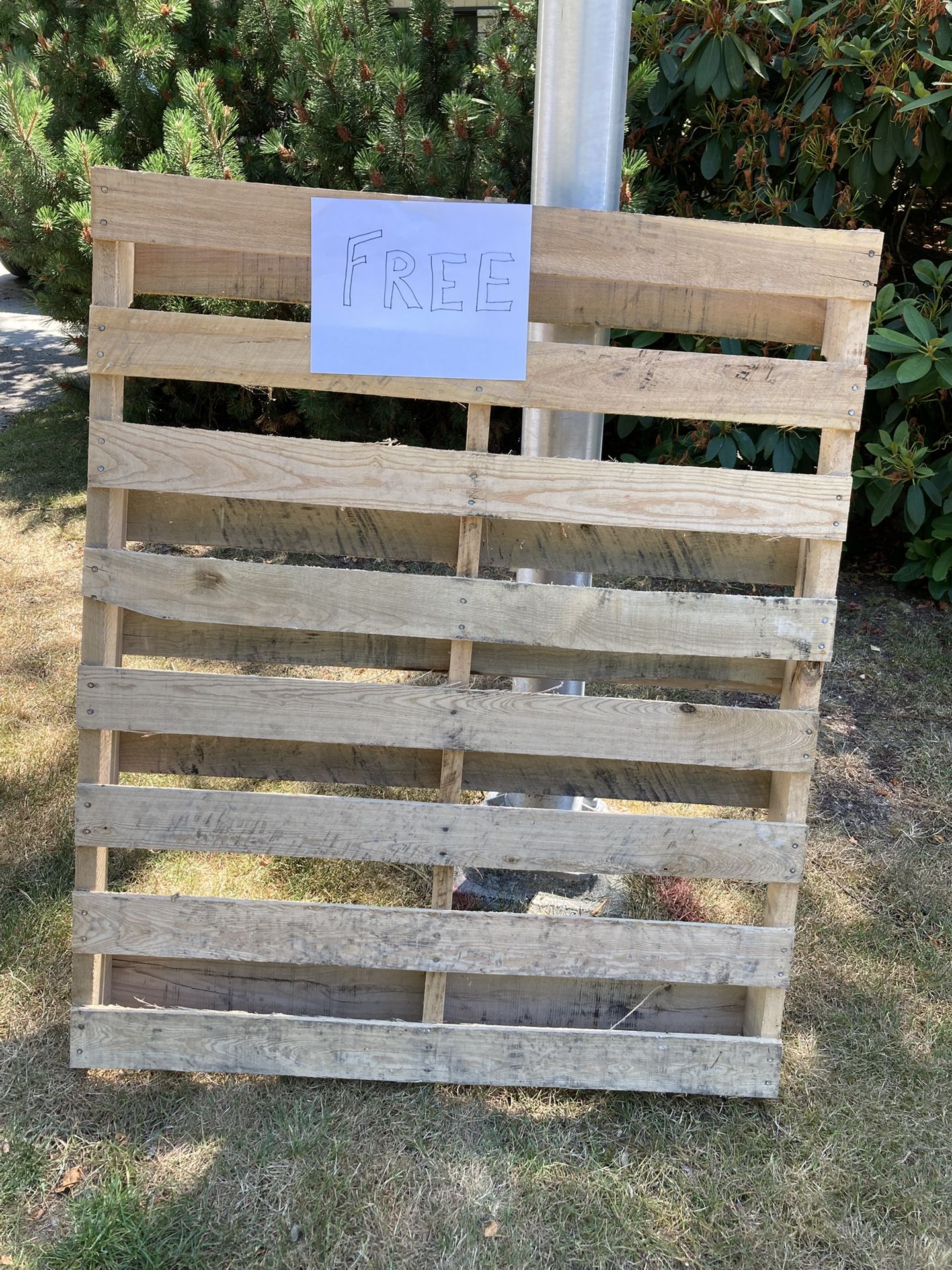 Free Pallet