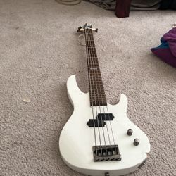 5 String Esp Bass