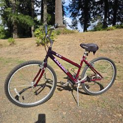 Raleigh 21 Speed Bicycle 