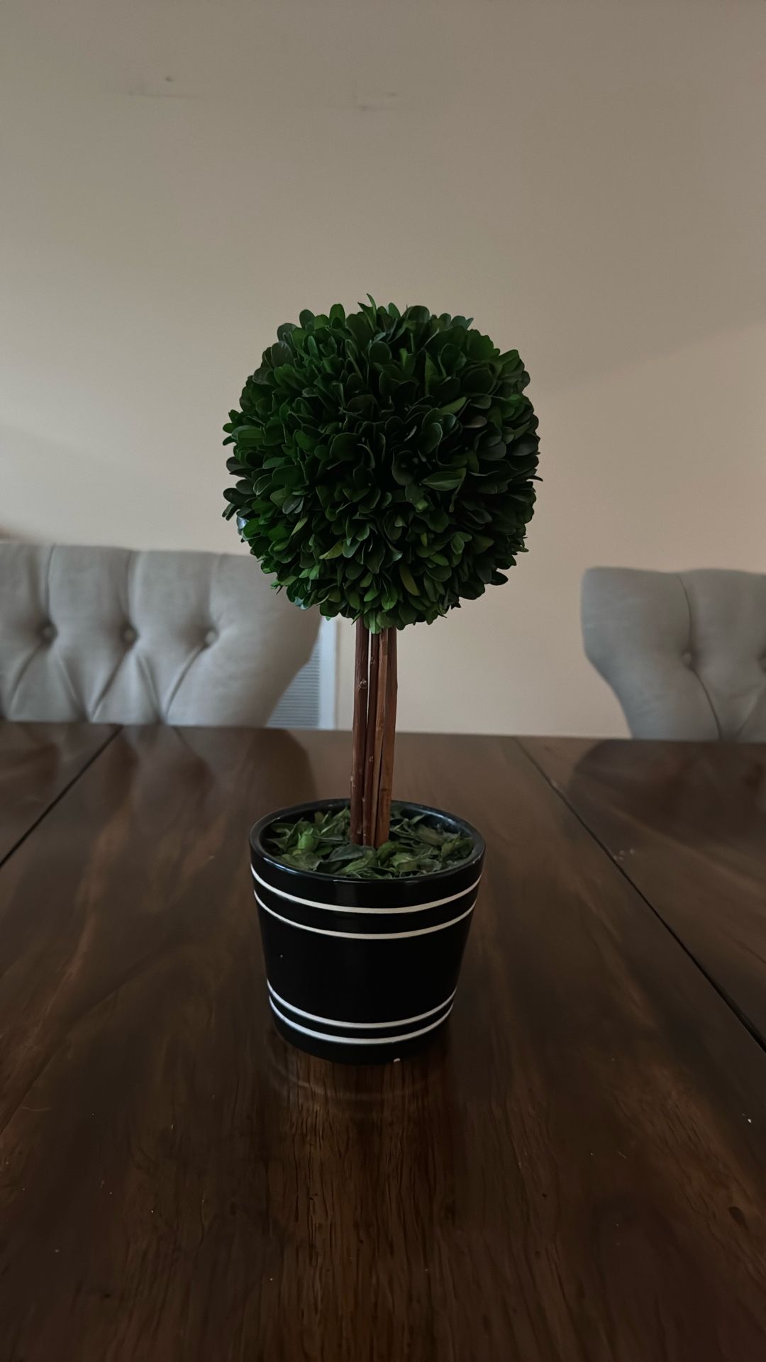 Cute Small Plant Decor