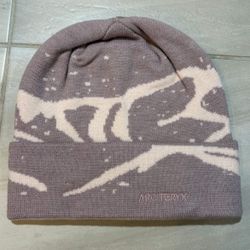 Arcteryx Beanies