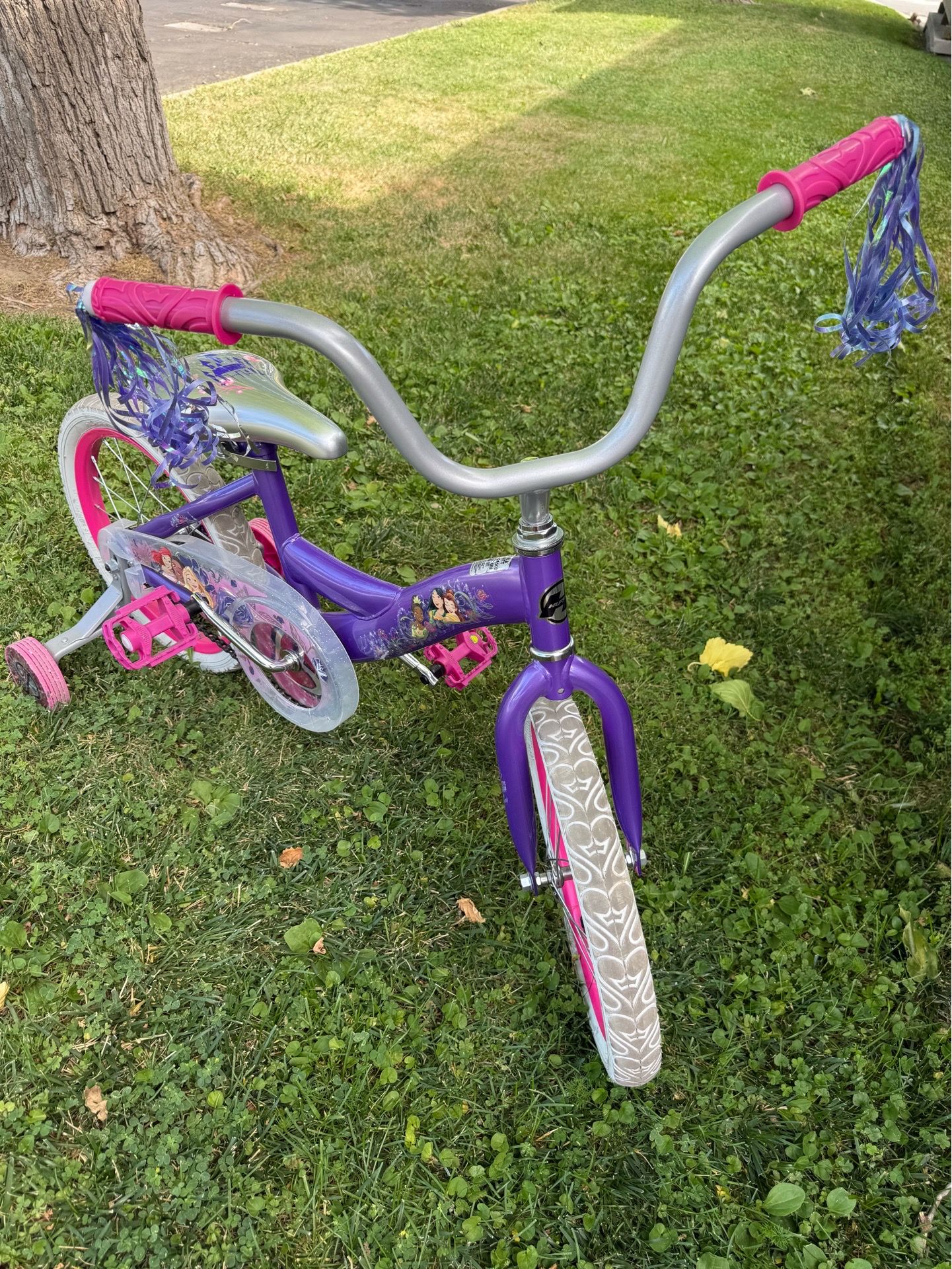 Kids Disney princes size 16” bike with traning wheels