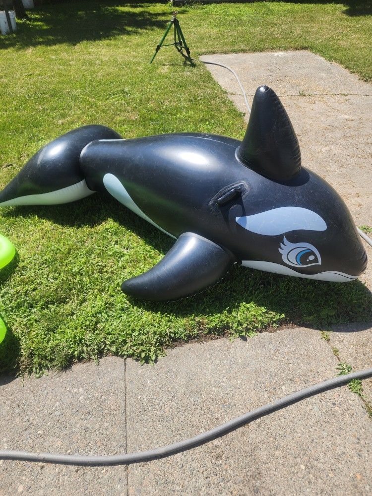 Big Orca Float That Has Handles So A Kid Can Rise On It
