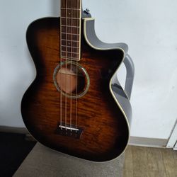 bass guitar Acoustic/Electric 