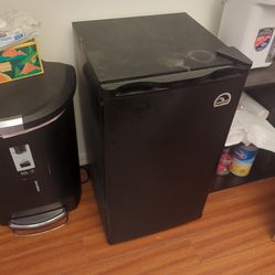 Igloo Mini Fridge