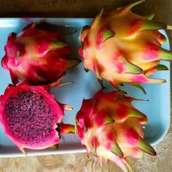 Rainbow dragonfruit - 1 gallon