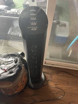 Fan