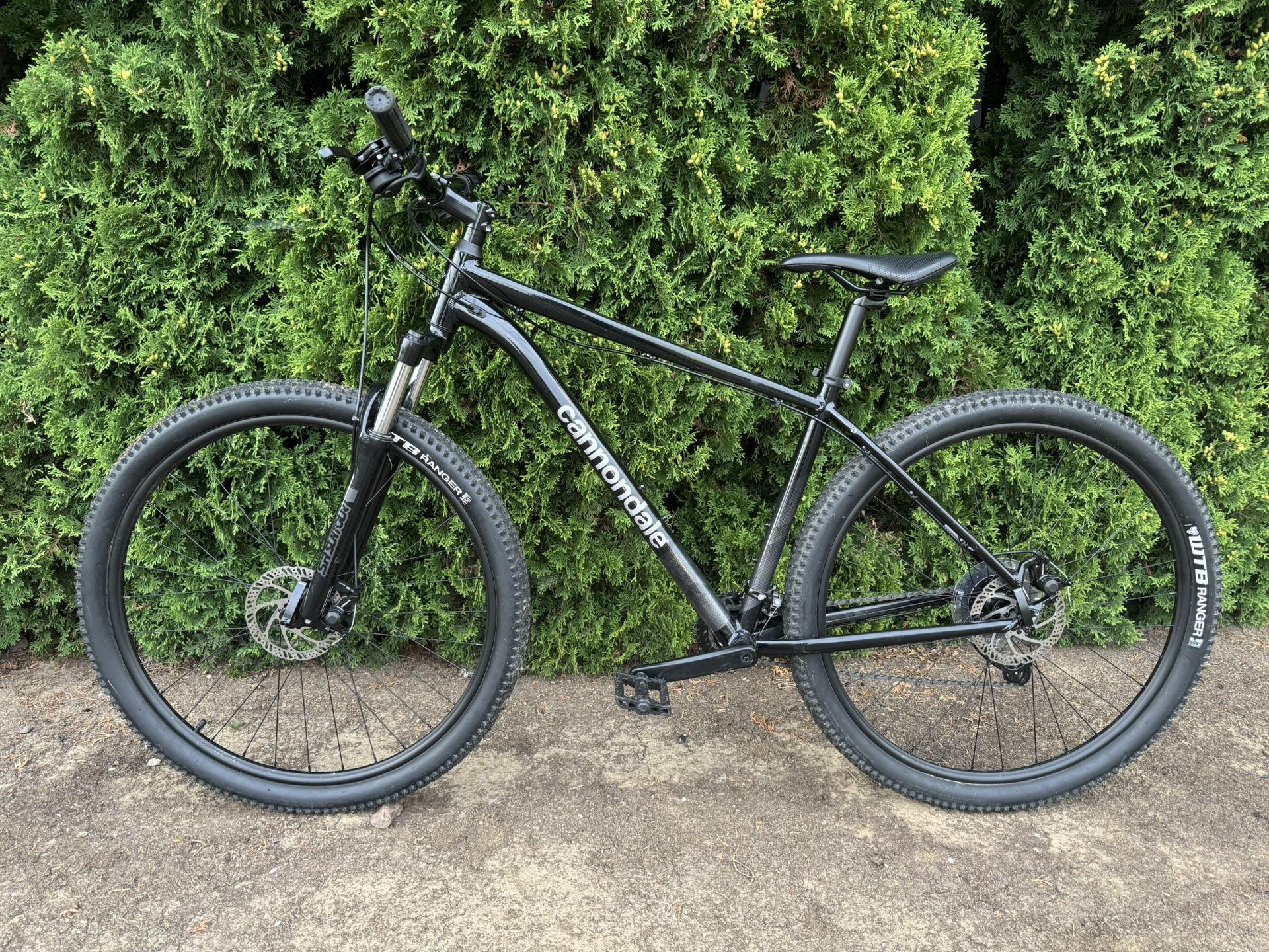 Large Cannondale Mtn Bike