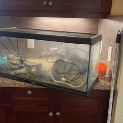 Tutrtle Tank/ Reptile Tank Around 150 Gallons