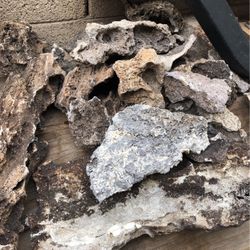 Fish Tank /Lava Rock