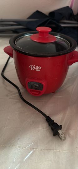 Rice cooker